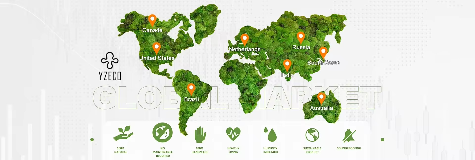 qualidade Musgo Natural Preservado fábrica