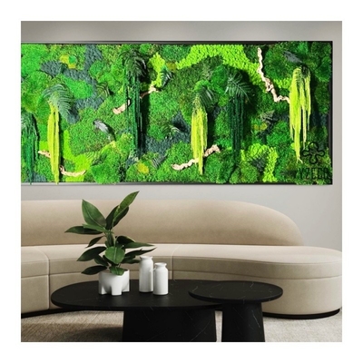 quality Escritório interior planta verde artificial muros de musgo em cores personalizadas para paisagismo factory