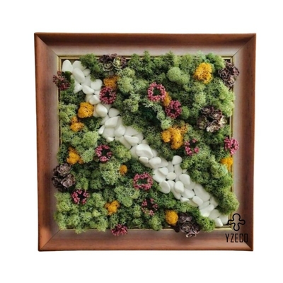 quality Quadro de arte de parede de musgo real preservado para decoração de jardim Sem manutenção e beleza natural factory